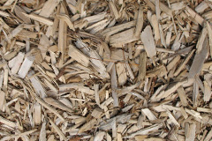 biomass boilers Alloway